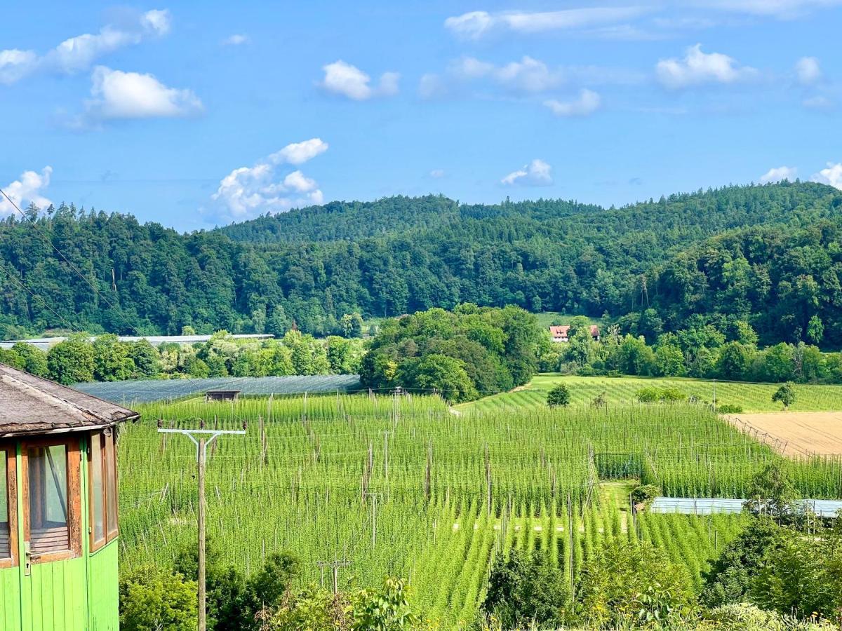 Einzigartiger Panoramablick, Bodensee Und Messe In Der Naehe Tettnang Dış mekan fotoğraf