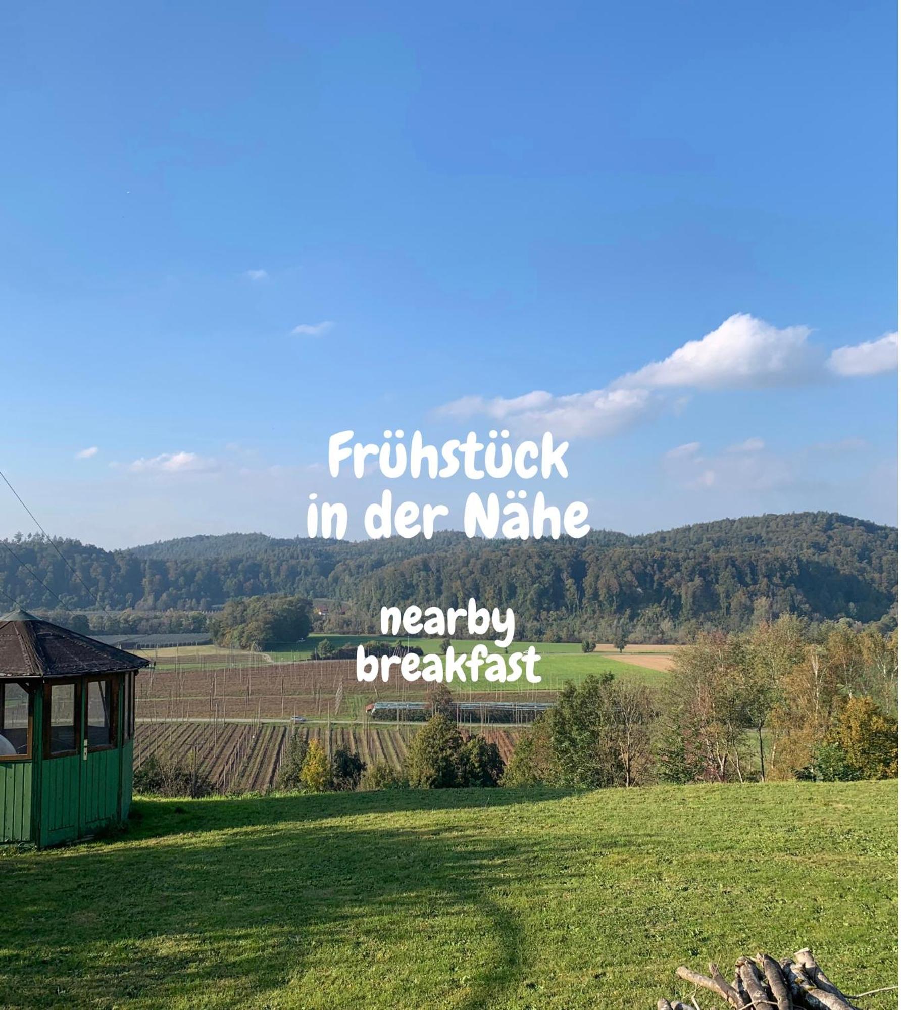 Einzigartiger Panoramablick, Bodensee Und Messe In Der Naehe Tettnang Dış mekan fotoğraf