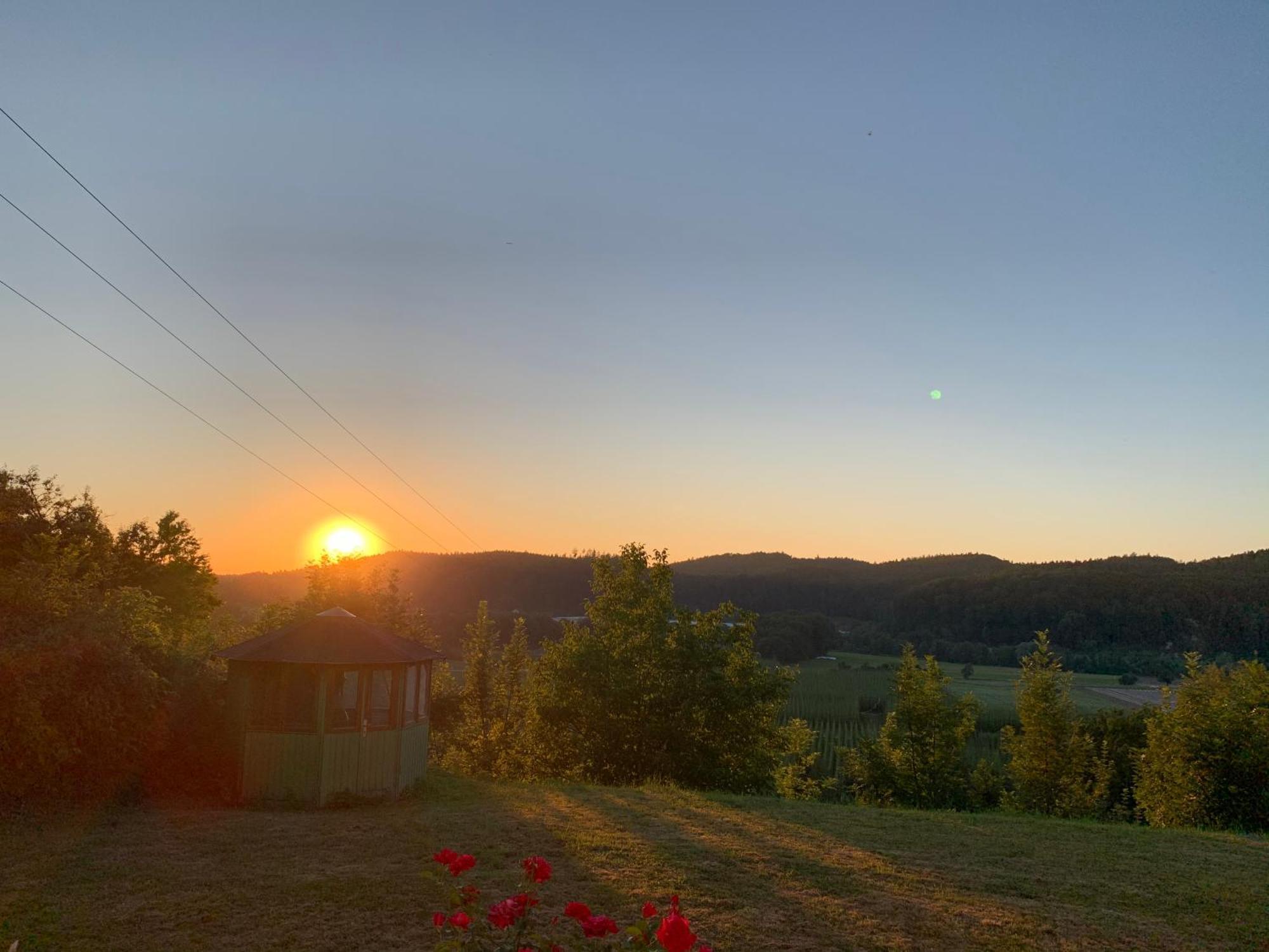 Einzigartiger Panoramablick, Bodensee Und Messe In Der Naehe Tettnang Dış mekan fotoğraf